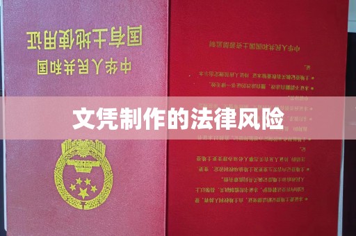 广南文凭制作的法律风险