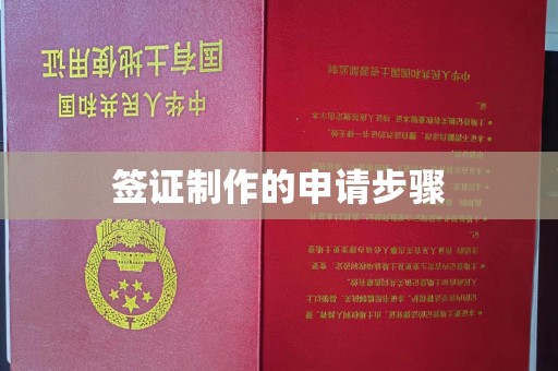 广南签证制作的申请步骤