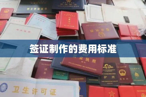 广南签证制作的费用标准