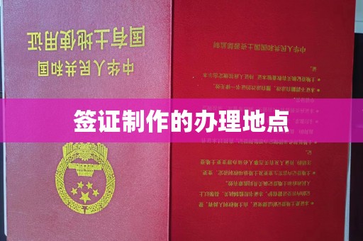 广南签证制作的办理地点