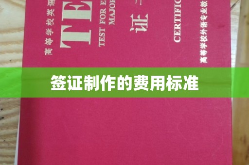 广南签证制作的费用标准