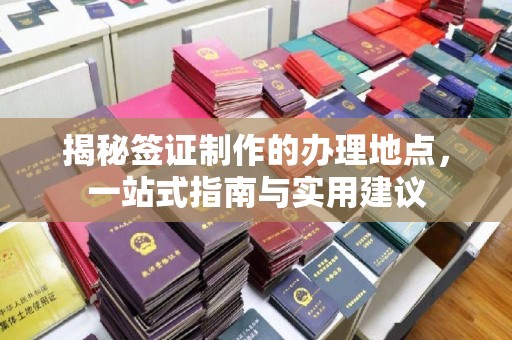 广南揭秘签证制作的办理地点，一站式指南与实用建议