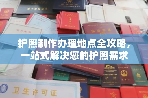 广南护照制作办理地点全攻略，一站式解决您的护照需求