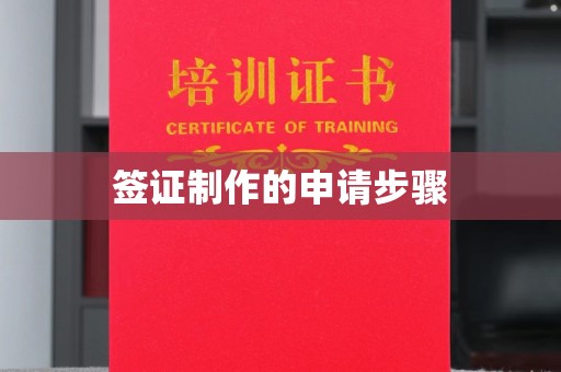 广南签证制作的申请步骤
