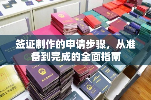 广南签证制作的申请步骤，从准备到完成的全面指南