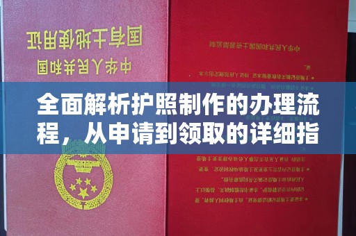 广南全面解析护照制作的办理流程，从申请到领取的详细指南