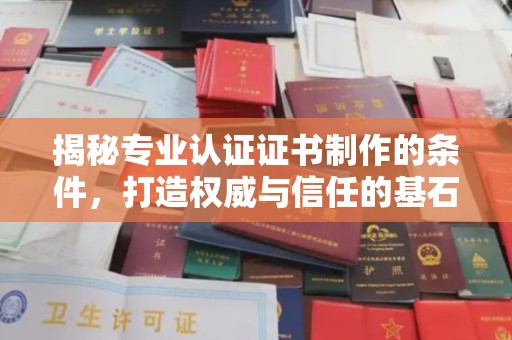 广南揭秘专业认证证书制作的条件，打造权威与信任的基石