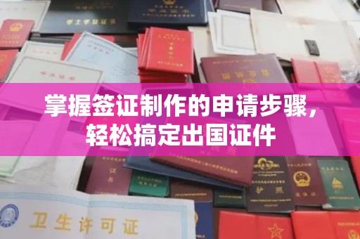 广南掌握签证制作的申请步骤，轻松搞定出国证件