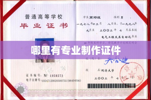 广南哪里有专业制作证件