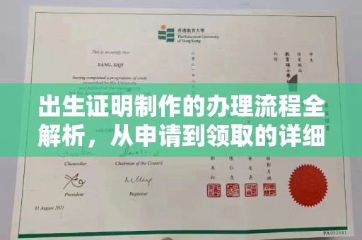 广南出生证明制作的办理流程全解析，从申请到领取的详细指南