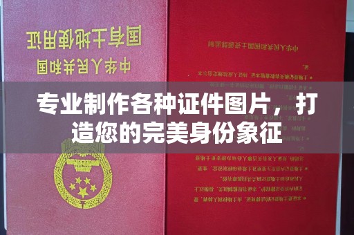 广南专业制作各种证件图片，打造您的完美身份象征