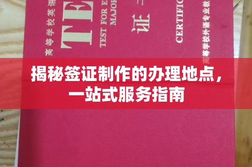 广南揭秘签证制作的办理地点，一站式服务指南