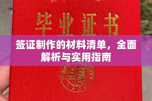 广南签证制作的材料清单，全面解析与实用指南