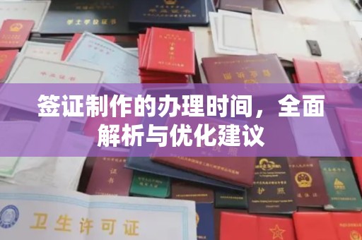 广南签证制作的办理时间，全面解析与优化建议