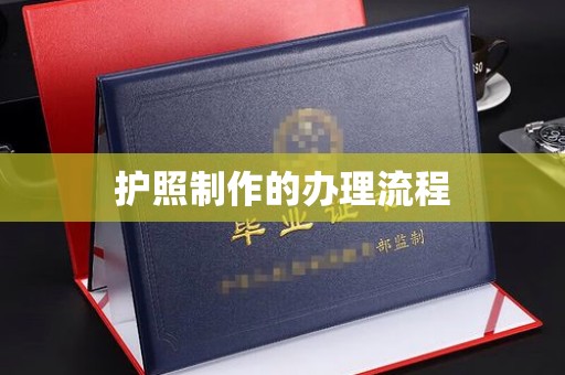 广南护照制作的办理流程