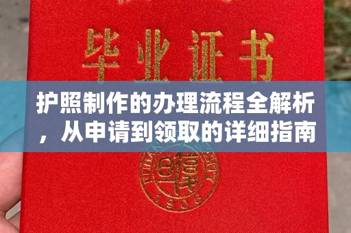 广南护照制作的办理流程全解析，从申请到领取的详细指南